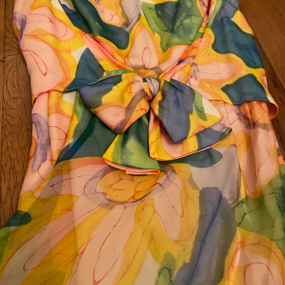 60s/70s Chiffon Gown Sise 4/5